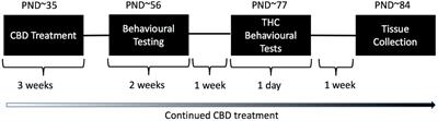 The effects of preventative cannabidiol in a male neuregulin 1 mouse model of schizophrenia